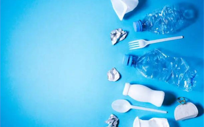  Alternatives to replace single use plastics